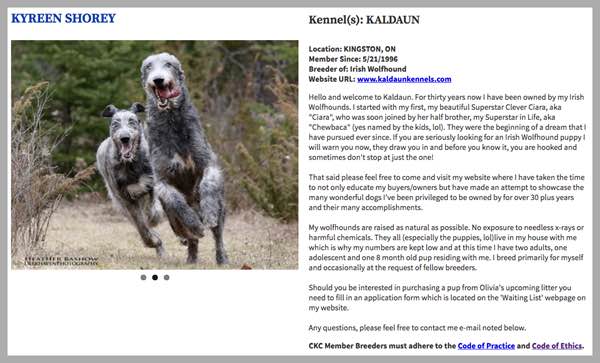FireShot-Capture-119-Canadian-Kennel-Cl_-http___www-ckc-ca_Choosing-a-Dog_PuppyList_Breeder-aspx-width-600-height-363.jpg
