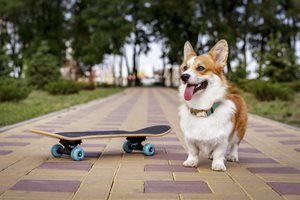X8IOutbdTui6nljm4TLP_iStock-1061822610.jpg X8IOutbdTui6nljm4TLP_iStock-1061822610.jpg